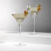 Spiegelau 9.2 oz Willsberger martini glass (set of 4)