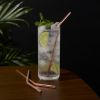 Summit Cocktail Straws in Copper Viski®