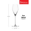 Spiegelau Definition 9 oz Champagne Glass (set of 2)