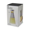 Glass FREEZE™ Carafe in Gray by HOST®