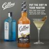 32 oz. Dirty Martini Cocktail Mix by Collins