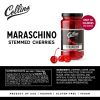 10 oz. Stemmed Cocktail Cherries by Collins