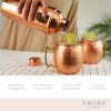 Hammered Copper Bar Set by Twine®