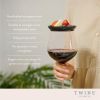 Wine Glass Topper Appetizer Plates by Twine®